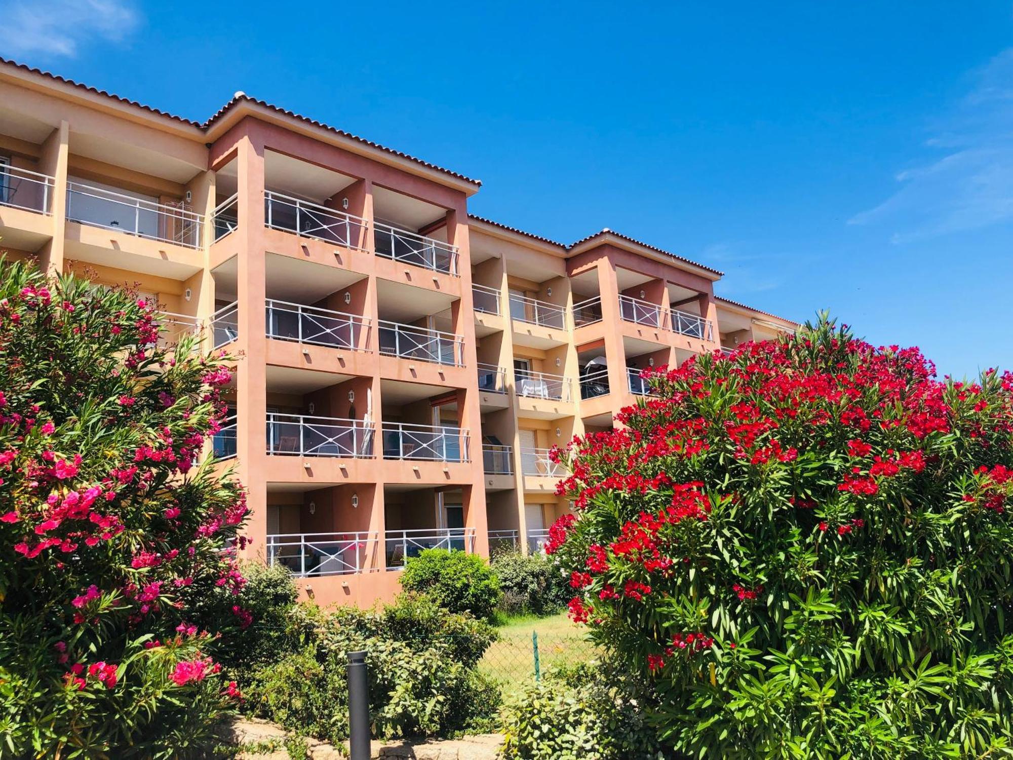 Superbe T2 Vue Mer - Piscine & Plage A 100M Ajaccio (Corsica) Exterior foto