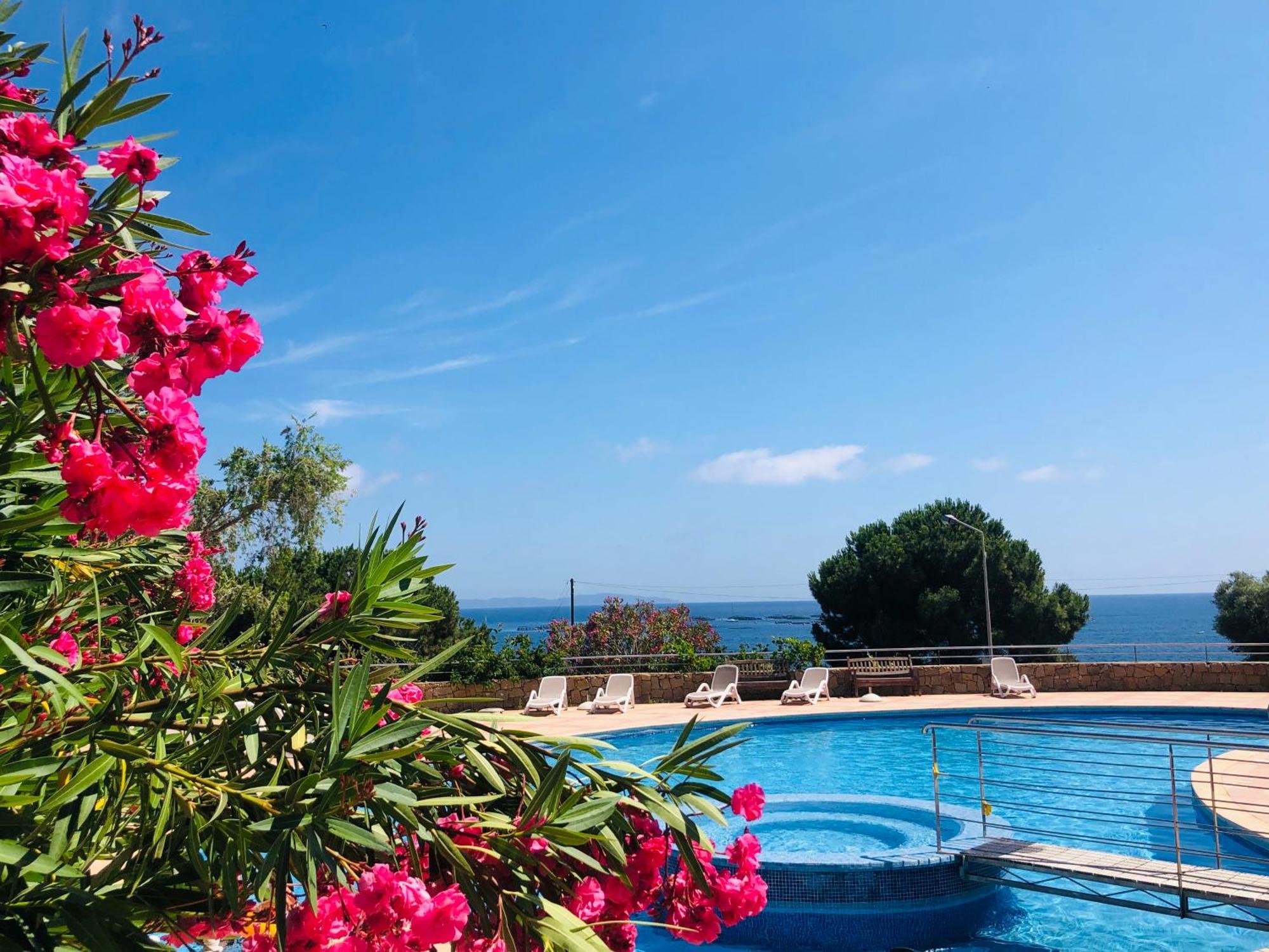 Superbe T2 Vue Mer - Piscine & Plage A 100M Ajaccio (Corsica) Exterior foto