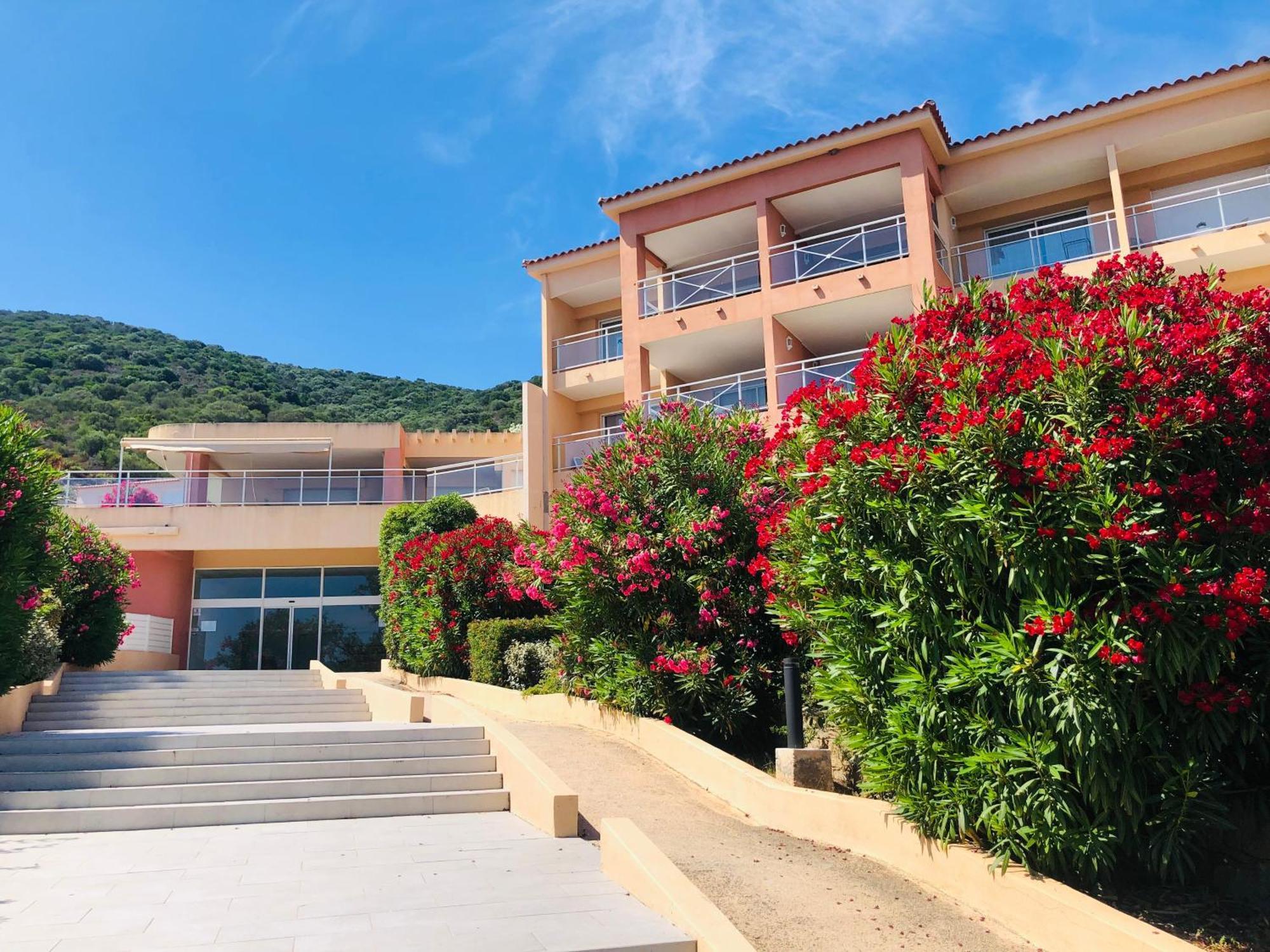 Superbe T2 Vue Mer - Piscine & Plage A 100M Ajaccio (Corsica) Exterior foto